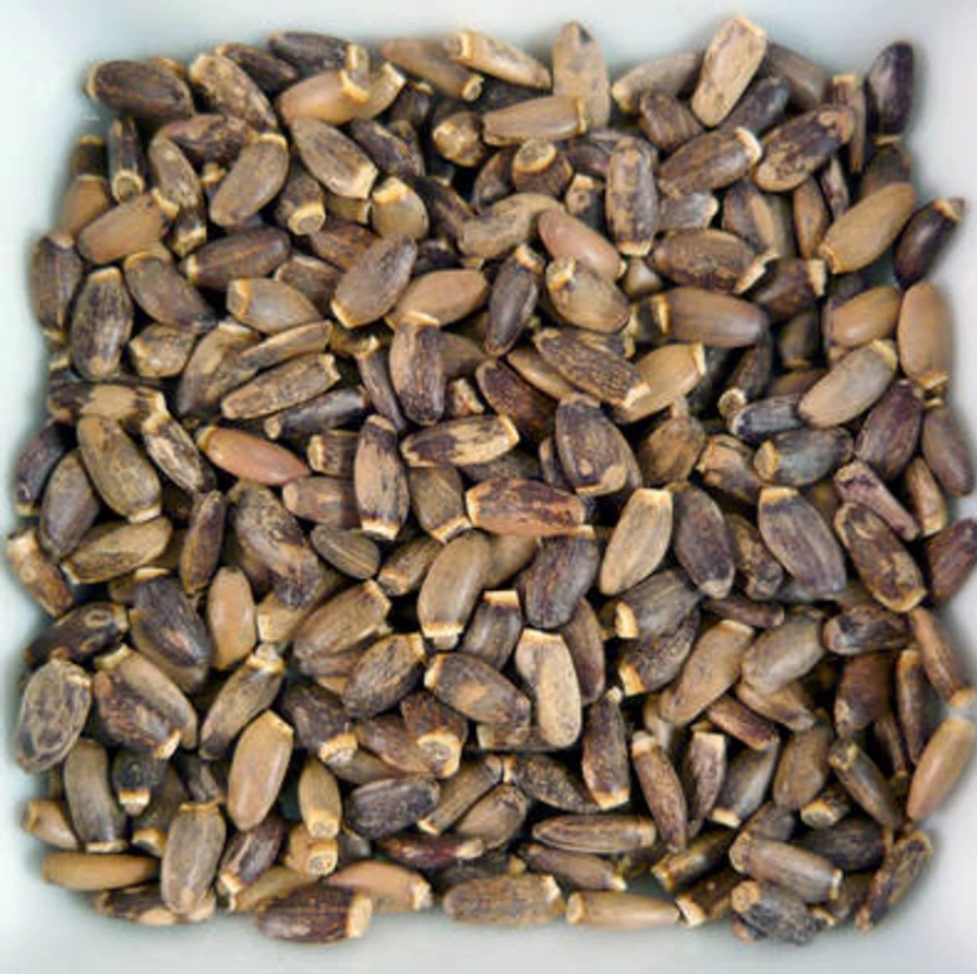 Tea * | Milk Thistle Seed